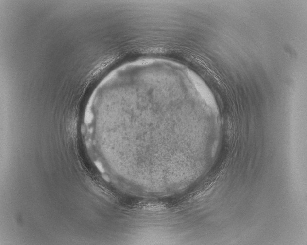 X0000116020491200912181152