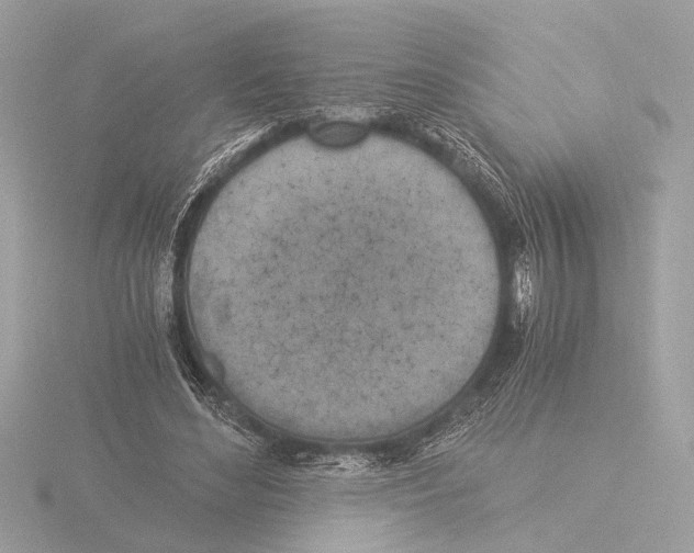 X0000116020492200912181152