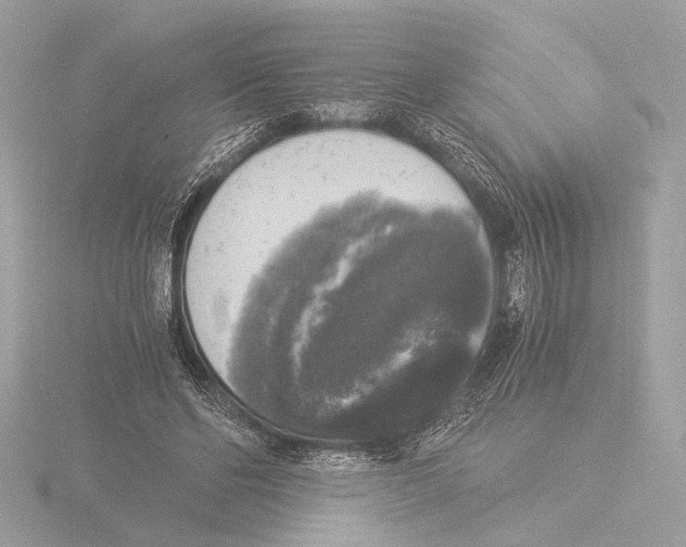 X0000116020494200912181152