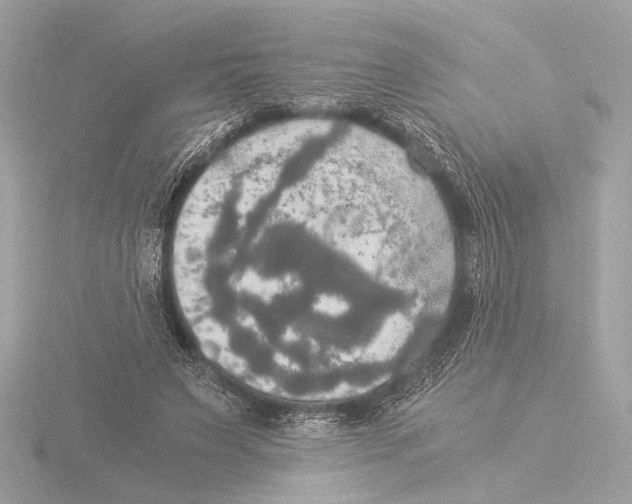 X0000116020495200912181152