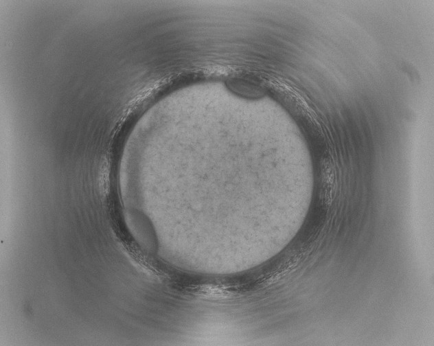 X0000116020496200912181152