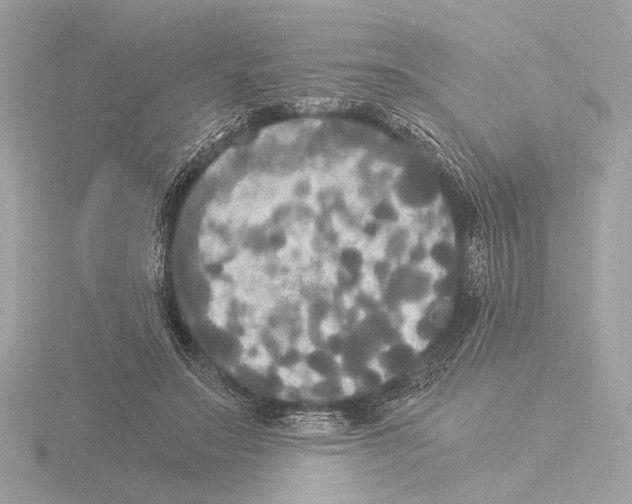 X0000116020499200912181152