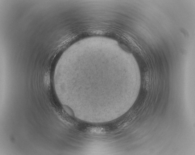 X0000116020500200912181152