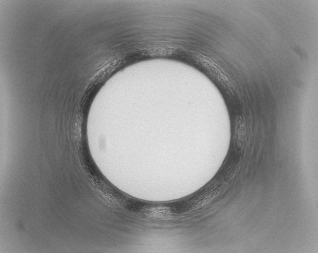 X0000116020501200912181152