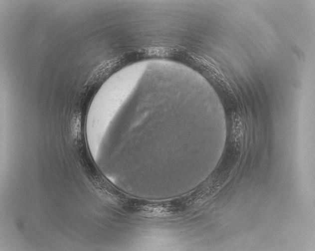 X0000116020502200912181152