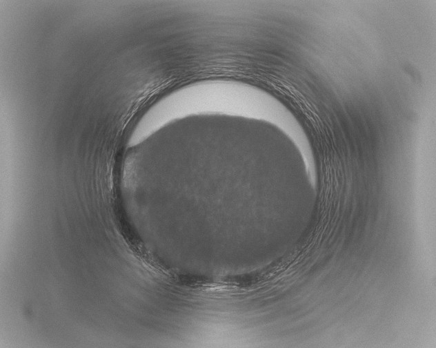 X0000116020504200912181152