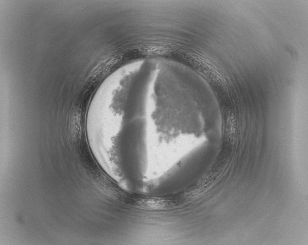 X0000116020506200912181152