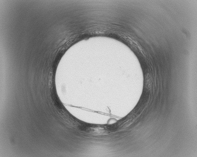 X0000116020509200912181152