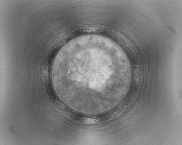 X0000116020510200912181152