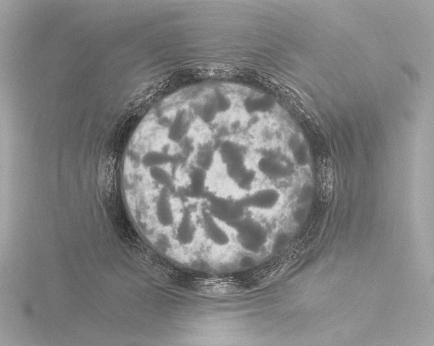 X0000116020511200912181152