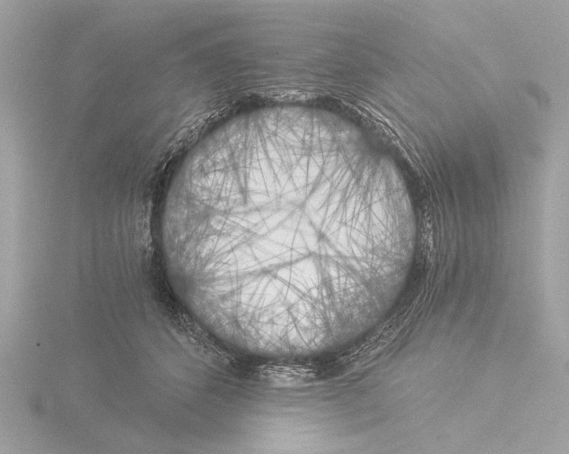 X0000116020512200912181152