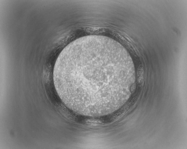 X0000116020515200912181152