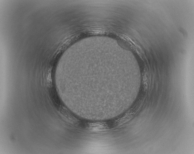 X0000116020516200912181152