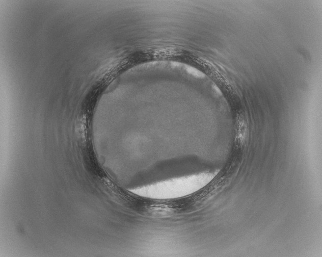 X0000116020519200912181152