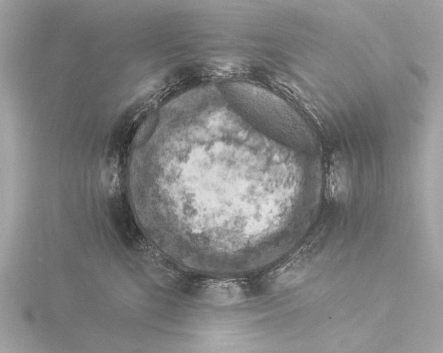 X0000116020520200912181152