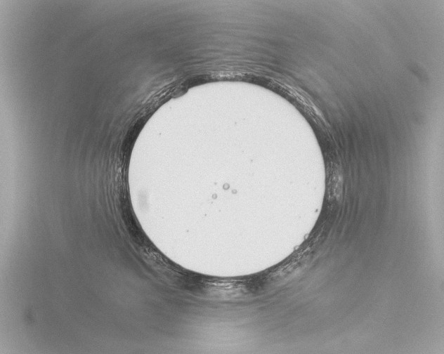 X0000116020521200912181152