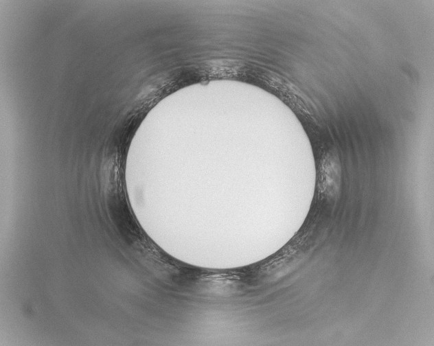 X0000116020522200912181152