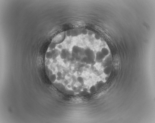 X0000116020523200912181152