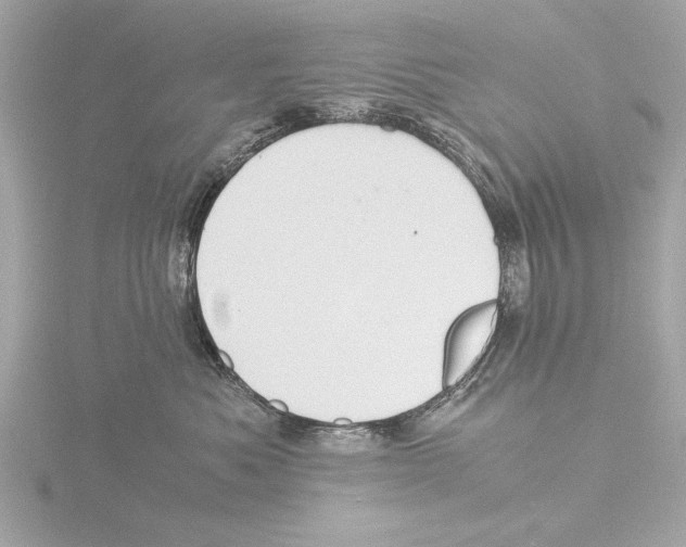 X0000116020525200912181152