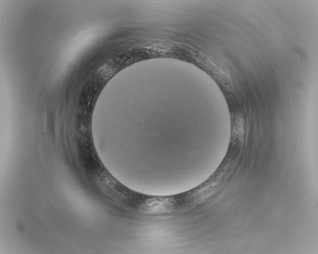 X0000116020526200912181152