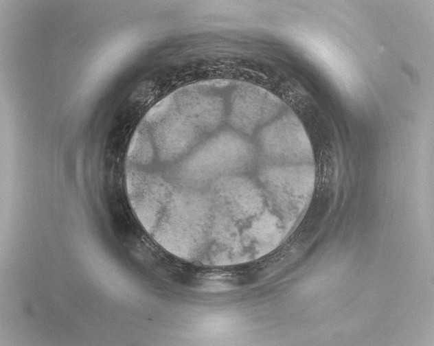 X0000116020527200912181152