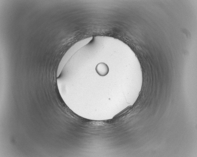 X0000116020528200912181152