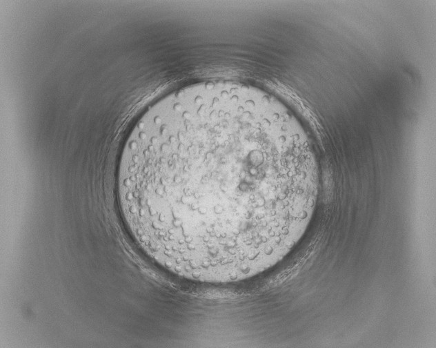 X0000116020529200912181151