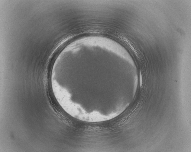 X0000116020531200912181151