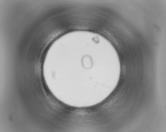 X0000116020534200912181151