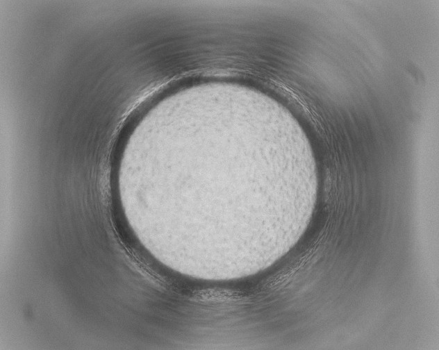 X0000116020535200912181151