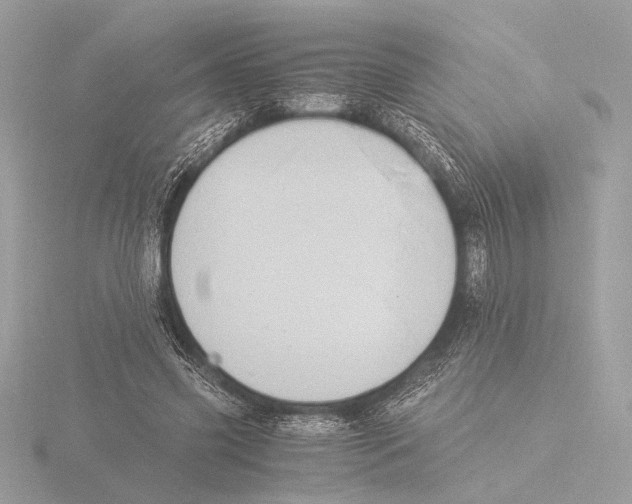 X0000116020541200912181151