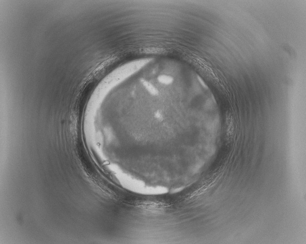 X0000116020542200912181151