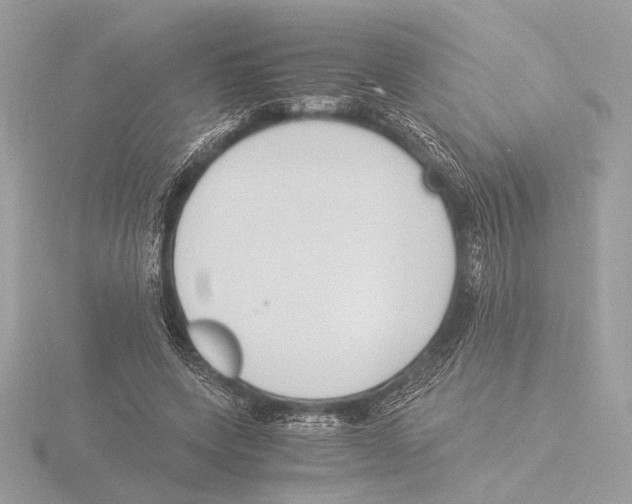 X0000116020543200912181151