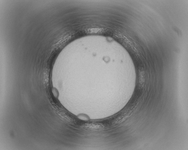 X0000116020545200912181151