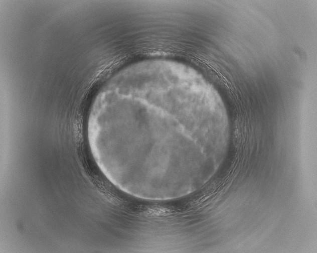 X0000116020547200912181151