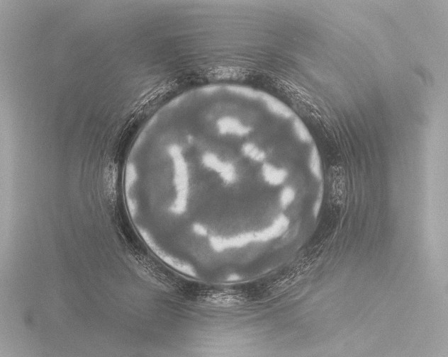 X0000116020550200912181151