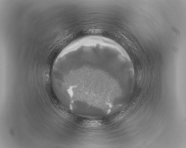 X0000116020553200912181151