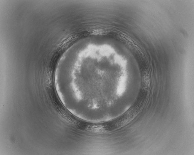 X0000116020554200912181151