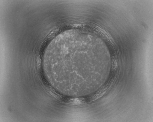 X0000116020558200912181151