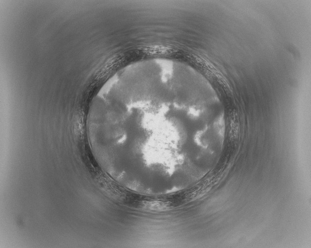 X0000116020561200912181151