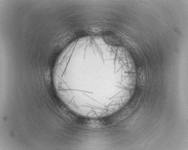 X0000116020562200912181151