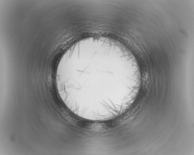 X0000116020566200912181151