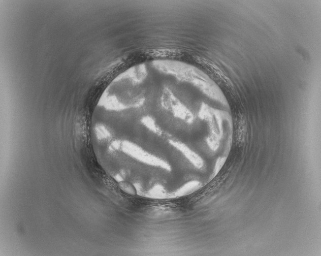 X0000116020569200912181151