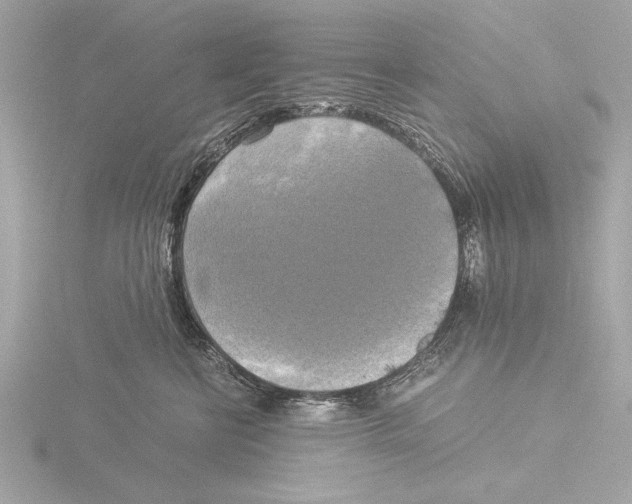 X0000116020570200912181152