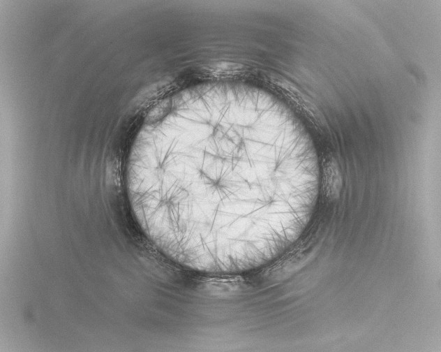X0000116020571200912181152