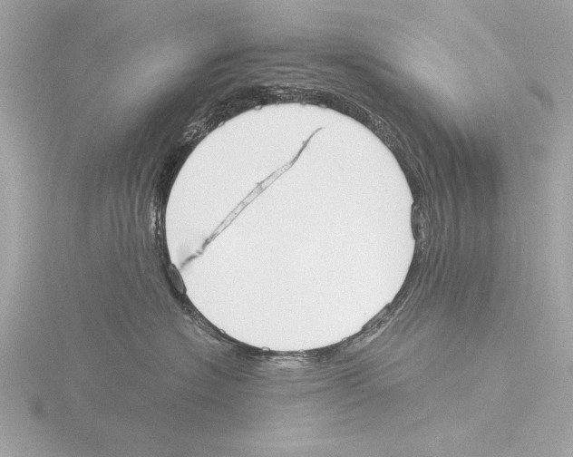 X0000116020574200912181152