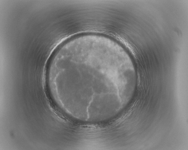 X0000116020580200912181151