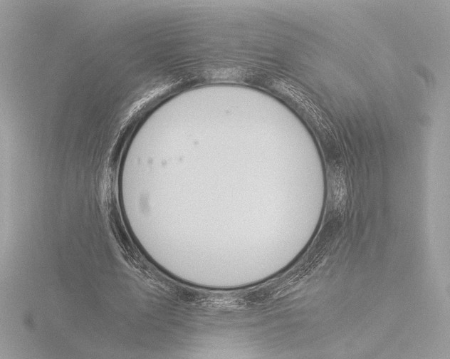 X0000116020583200912181151