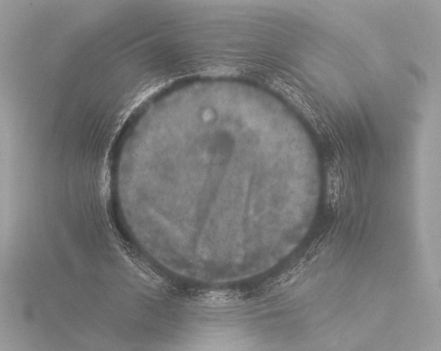 X0000116020584200912181151