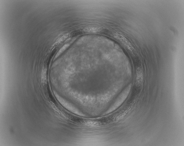 X0000116020585200912181151